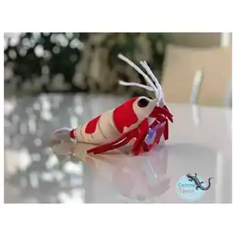 Pets Place Ceramicnature Crystal Red Shrimp Plush - Knuffel - 24x17x6 cm Rood Wit aanbieding