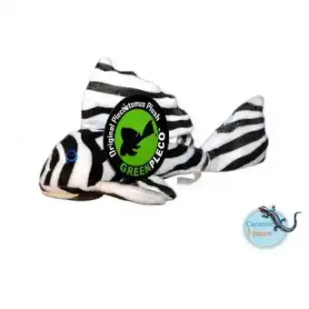 Pets Place Ceramicnature Zebra Pleco Plush - Knuffel - 30x18x15 cm Wit Zwart aanbieding