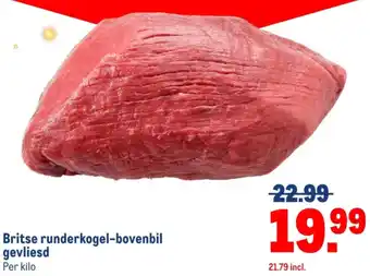 Makro Britse runderkogel-bovenbil gevliesd aanbieding