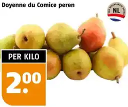 Poiesz Doyenne du Comice peren aanbieding