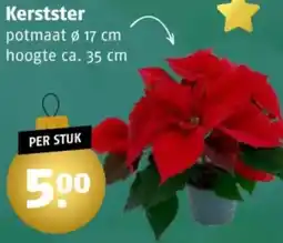 Poiesz Kerstster aanbieding