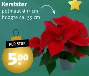 Poiesz Kerstster aanbieding