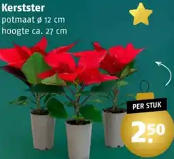 Poiesz Kerstster aanbieding