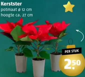 Poiesz Kerstster aanbieding