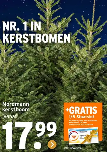 GAMMA Nordmann kerstboom aanbieding