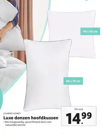 Lidl Livarno Home Luxe donzen hoofdkussen aanbieding