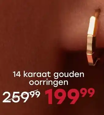 Lucardi 14 karaat gouden oorringen aanbieding