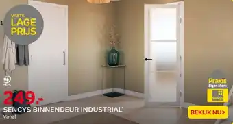 Praxis Sencys binnendeur industrial aanbieding