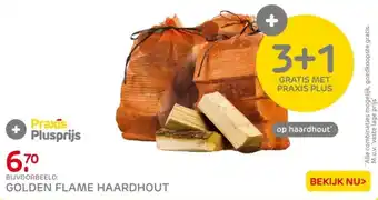 Praxis Golden flame haardhout aanbieding