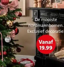 Intratuin De mooiste nordmannbomen. aanbieding