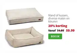 Intratuin Mand of kussen, diverse maten en kleuren aanbieding