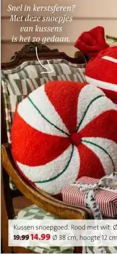 Intratuin Kussen snoepgoed. aanbieding