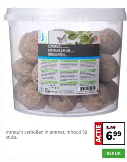 Intratuin Intratuin vetbollen in emmer. Inhoud 30 stuks. aanbieding