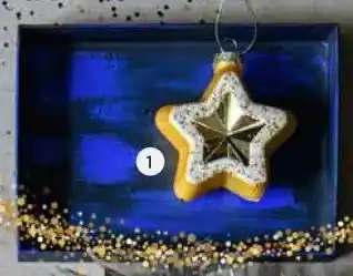 Intratuin Ornament ster. aanbieding