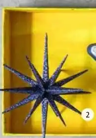 Intratuin Ornament ster of komeet. aanbieding