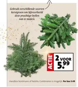 Intratuin Handbos Nordmann of Nobilis. aanbieding