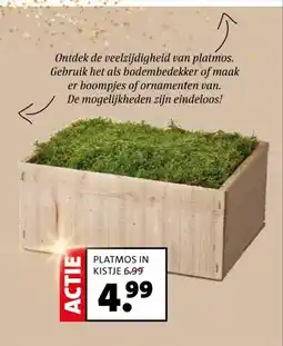 Intratuin PLATMOS IN KISTJE aanbieding