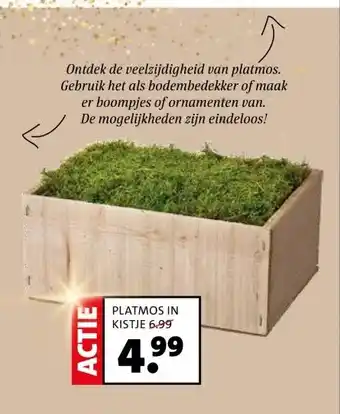 Intratuin PLATMOS IN KISTJE aanbieding