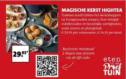 Intratuin MAGISCHE KERST HIGHTEA aanbieding