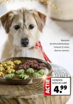 Intratuin HONDEN- KOEKJES aanbieding