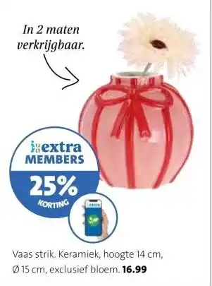 Intratuin Vaas strik. Keramiek, aanbieding