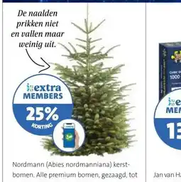 Intratuin Nordmann (Abies nordmanniana) kerst- bomen. aanbieding