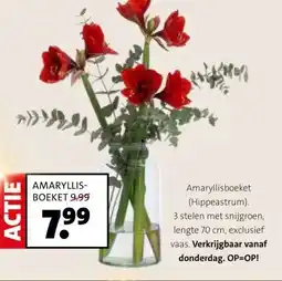 Intratuin AMARYLLIS-BOEKET aanbieding