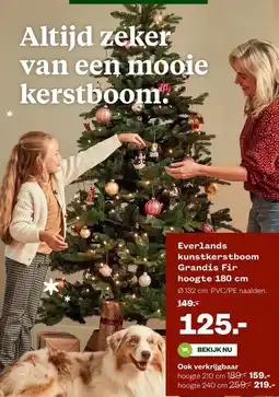 Welkoop Everlands kunstkerstboom Grandis Fir hoogte 180 cm aanbieding