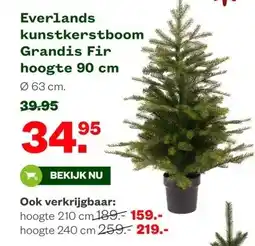 Welkoop Everlands kunstkerstboom Grandis Fir hoogte 90 cm aanbieding
