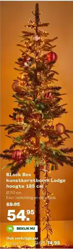 Welkoop Black Box kunstkerstboom Lodge hoogte 185 cm aanbieding