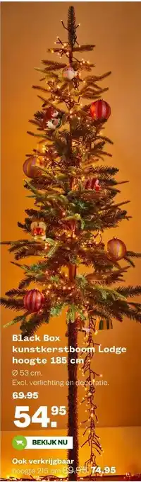Welkoop Black Box kunstkerstboom Lodge hoogte 185 cm aanbieding