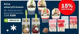 Welkoop Alle amaryllissen aanbieding