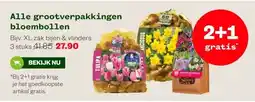 Welkoop Alle grootverpakkingen bloembollen aanbieding