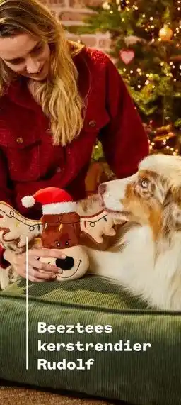 Welkoop Beeztees kerstrendier Rudolf aanbieding