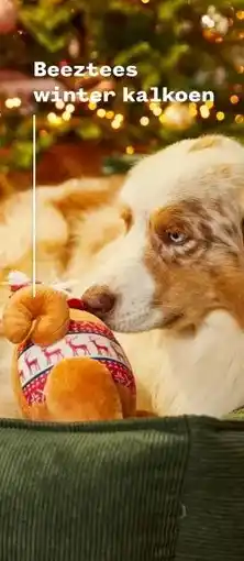Welkoop Beeztees winter kalkoen aanbieding
