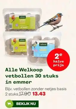 Welkoop Alle Welkoop vetbollen aanbieding