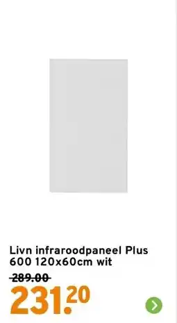 GAMMA Livn infraroodpaneel Plus 600 120x60cm wit aanbieding
