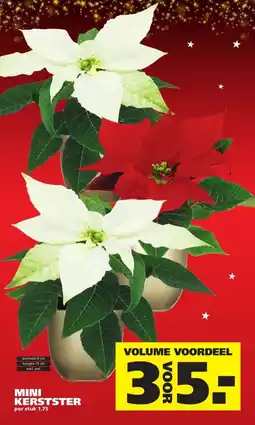 Ranzijn MINI KERSTSTER aanbieding