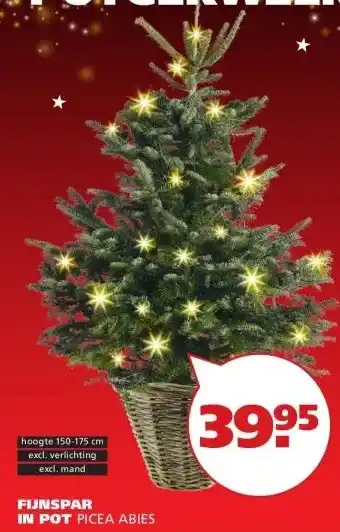Ranzijn FIJNSPAR IN POT PICEA ABIES aanbieding