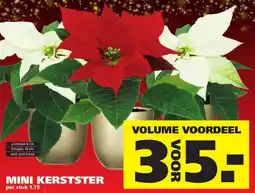 Ranzijn MINI KERSTSTER aanbieding