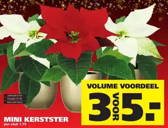 Ranzijn MINI KERSTSTER aanbieding