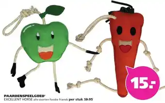 Ranzijn PAARDENSPEELGOED* EXCELLENT HORSE aanbieding