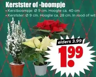Dirk Kerstster of -boompje aanbieding