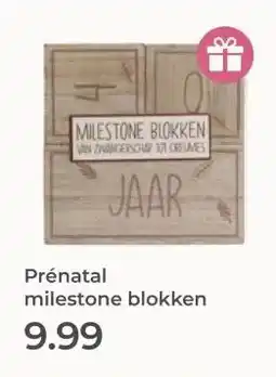 Prenatal Prénatal milestone blokken aanbieding