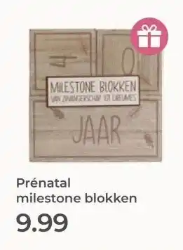 Prenatal Prénatal milestone blokken aanbieding