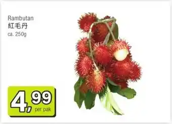 Amazing Oriëntal Rambutan 紅毛丹 aanbieding