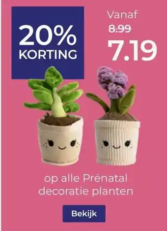 Prenatal alle Prénatal decoratie planten aanbieding