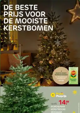 Praxis Central Park Kerstboom - Nordmann - aanbieding