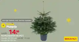 Praxis Central Park Kerstboom - Nordmann - In aanbieding