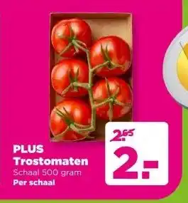 PLUS PLUS aanbieding